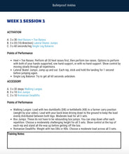 Load image into Gallery viewer, Bulletproof Ankles